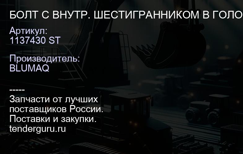 1137430 ST БОЛТ С ВНУТР. ШЕСТИГРАННИКОМ В ГОЛОВКЕ | купить запчасти